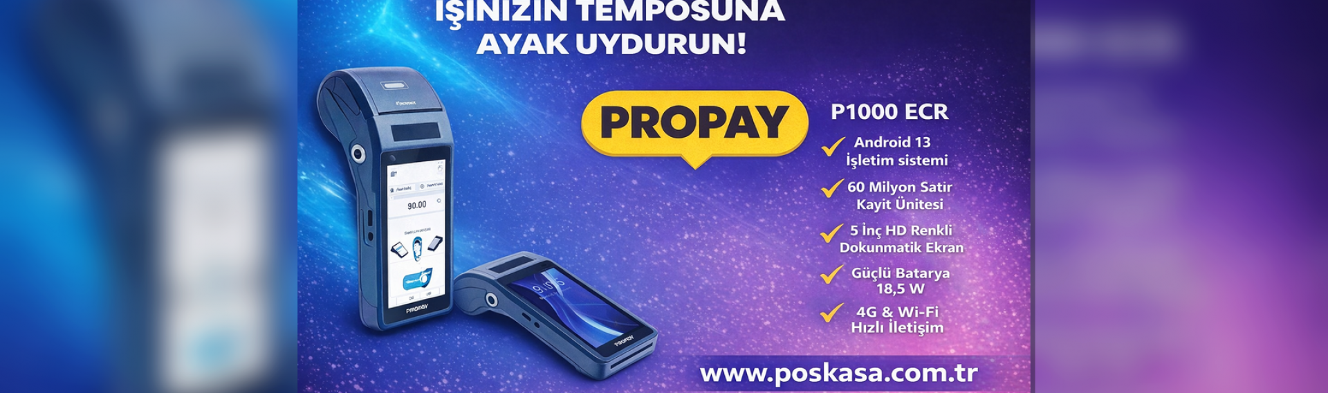 Propay P1000